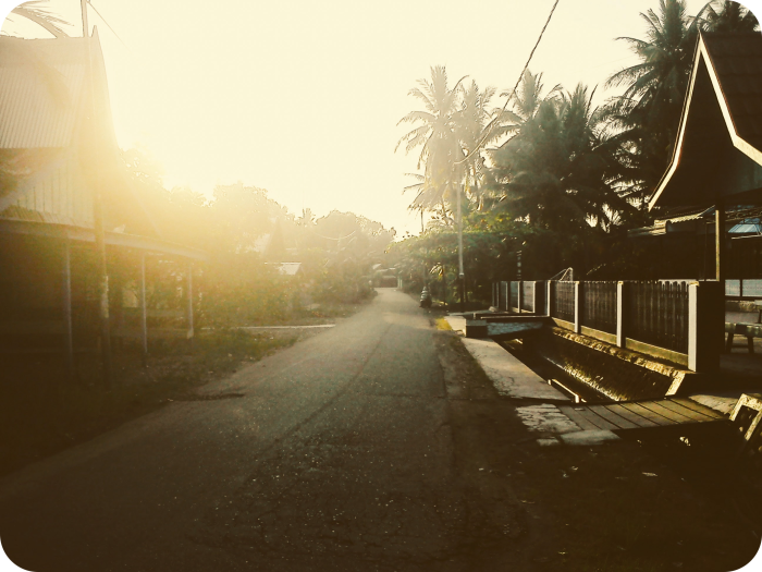 Borneo_the_eternal_jungle_BG_LeBen